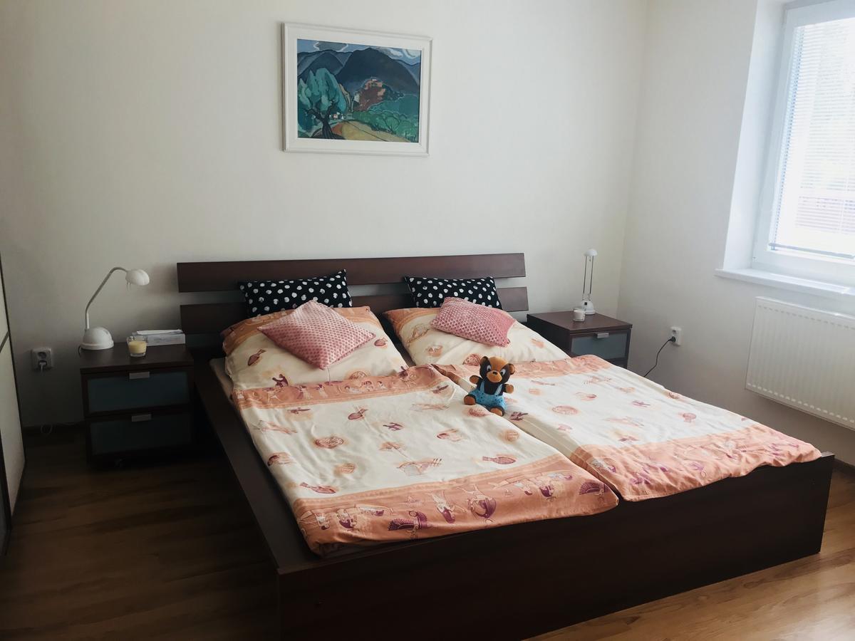 Апартаменты Skolici Stredisko Abena S Ubytovanim Острава Экстерьер фото